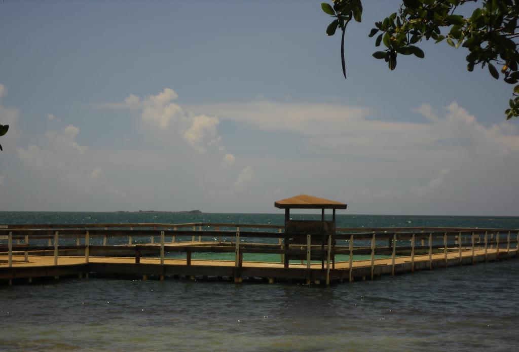 Parador Turtle Bay Inn ลาปาร์เกรา ภายนอก รูปภาพ